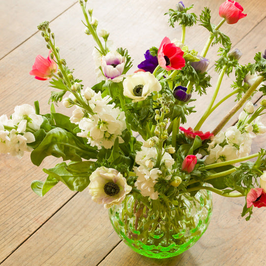 Rosalia Vase und Windlicht